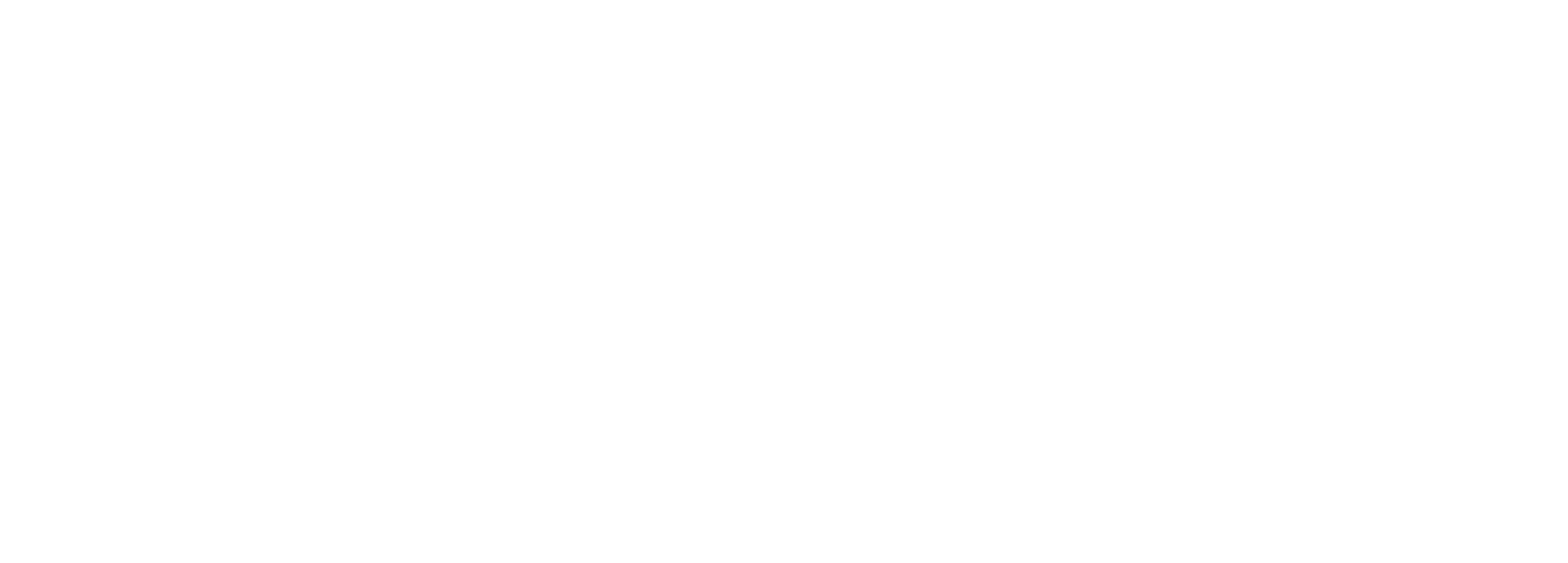 Servernet